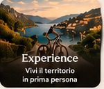 Experience